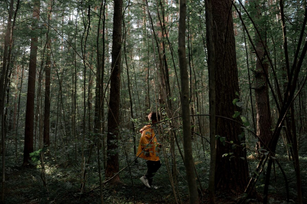 critique wildwood ambition erreurs fréquentes éviter